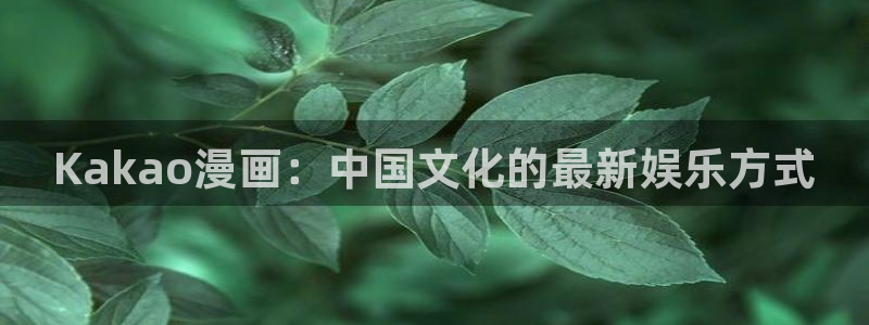 包子漫画网页版