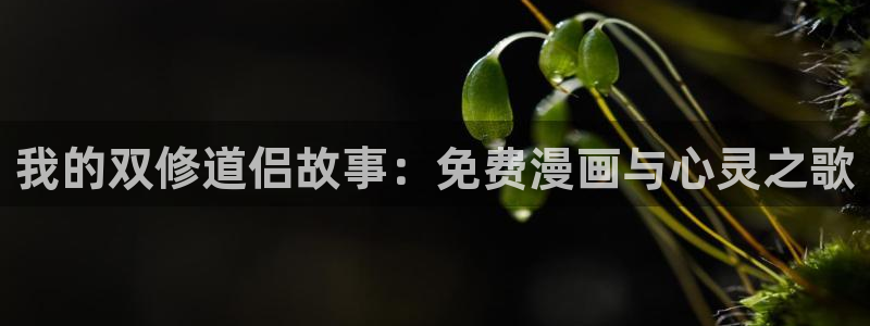 有兽焉包子漫画